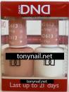DND 613 cinnamon whip Duo