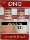 DND 618 peach buff Duo