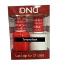 DND 637 Lucky Red DUO