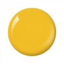 Nitro Collection 2oz - #194