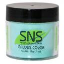 SNS Gelous Color - SC10 - Summer Collection