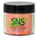 SNS Gelous Color - SC19- Summer Collection