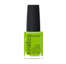 KINETICS  Solar Gel - Sambadrome #339