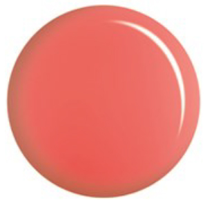 DND DC - # 178 HARD TILE