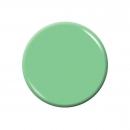 EDS DUO  #260 MINT GREEN