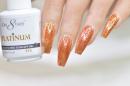 Platinum Gel - P13