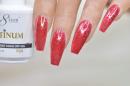 Platinum Gel - P24