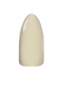 Chisel Dipping powder 2oz - SOLID 200