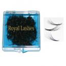 Royal Lashes - Medium - 1000 pcs (13 Hairs )