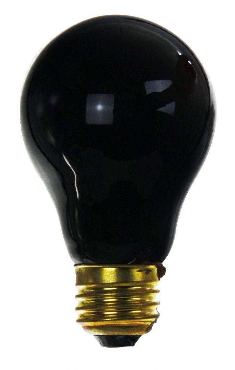 Standard Black Light Bulb 80W/120V