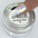 CR8- CHAMELON FLAKES NAIL ART #36