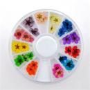 Nail Dry Flower Nail Art Deco