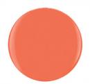 Gelish Xpress Dip 1.5oz - #1620917 I'm Brighter Than You
