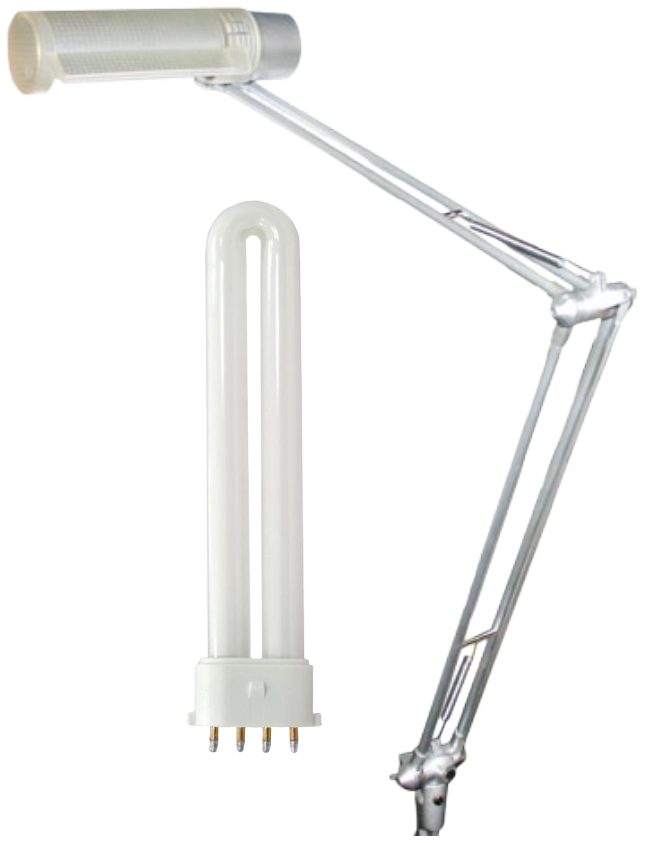 Lamp & Bulb