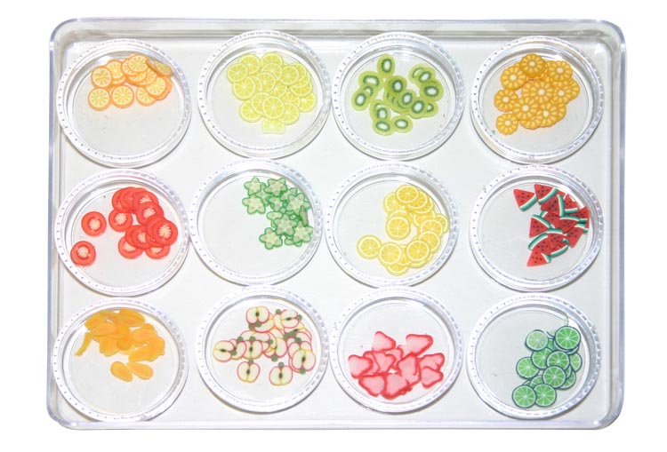 Polymer Clay Cane Fruit Art Set A