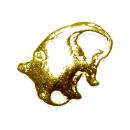 Charm Gold - A97 Each