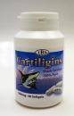 Cartiligins Shark - 01